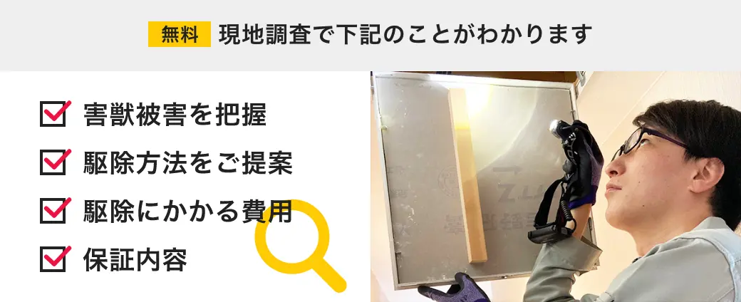 無料現地調査でわかる項目